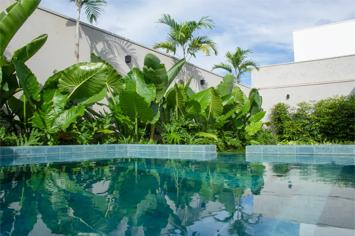 Projeto de Paisagismo Tropical: A Arte da Curadoria